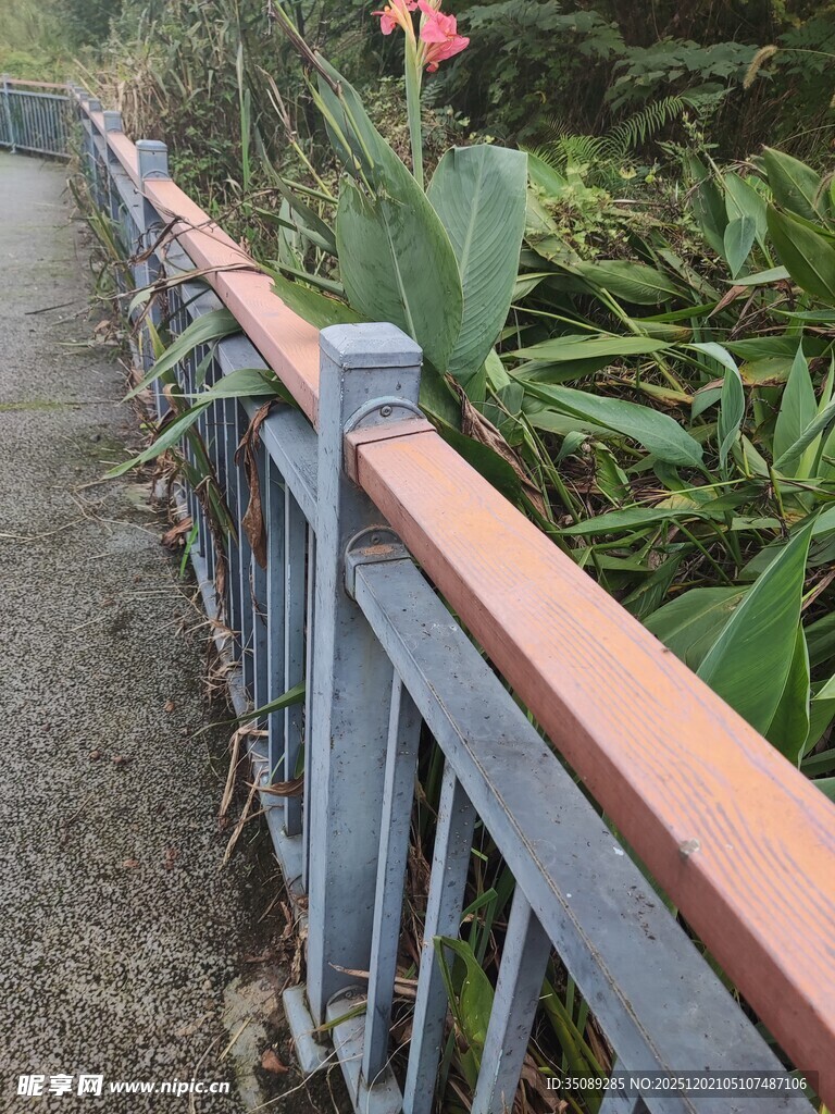 户外木质扶手景观步道