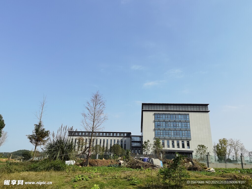 现代建筑与户外绿地景观