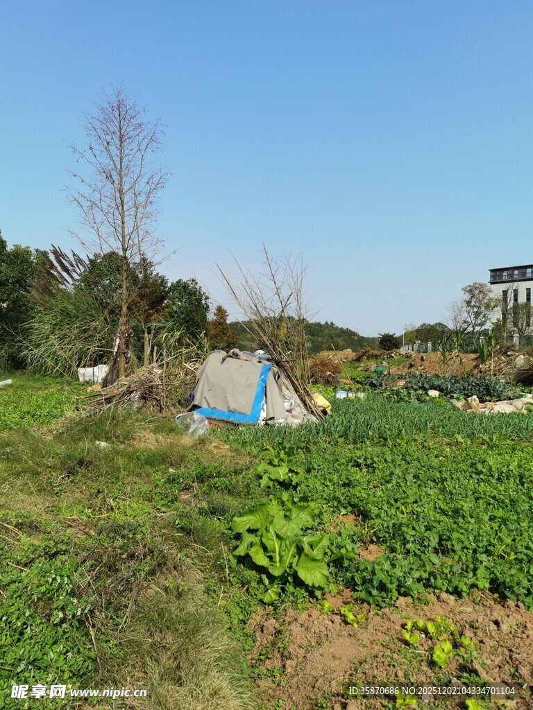 田园菜地与简易帐篷景观