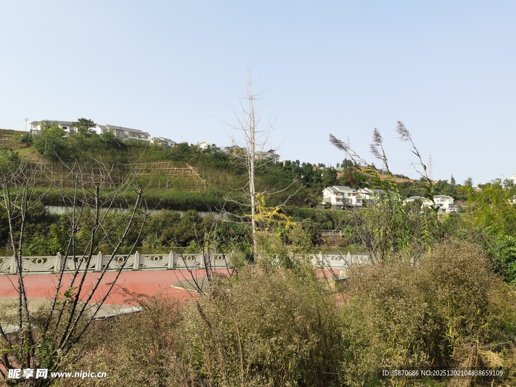 户外运动场边的自然景致