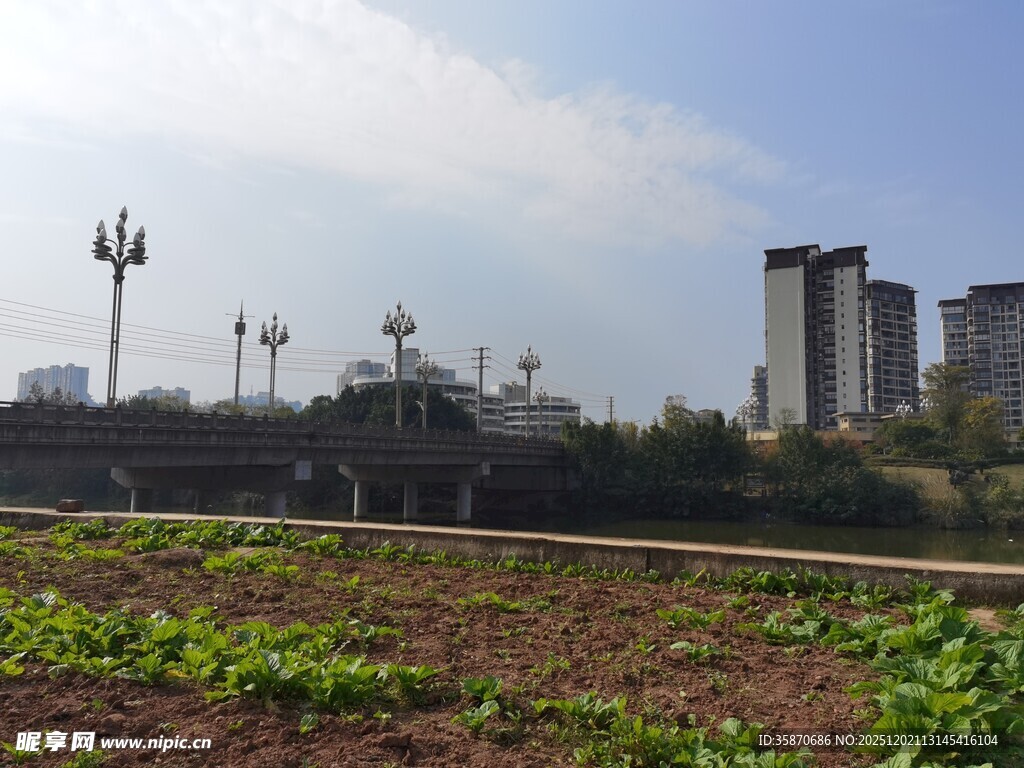 城市边的农田风光