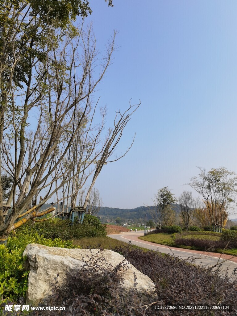 荒野碎石间的自然景致