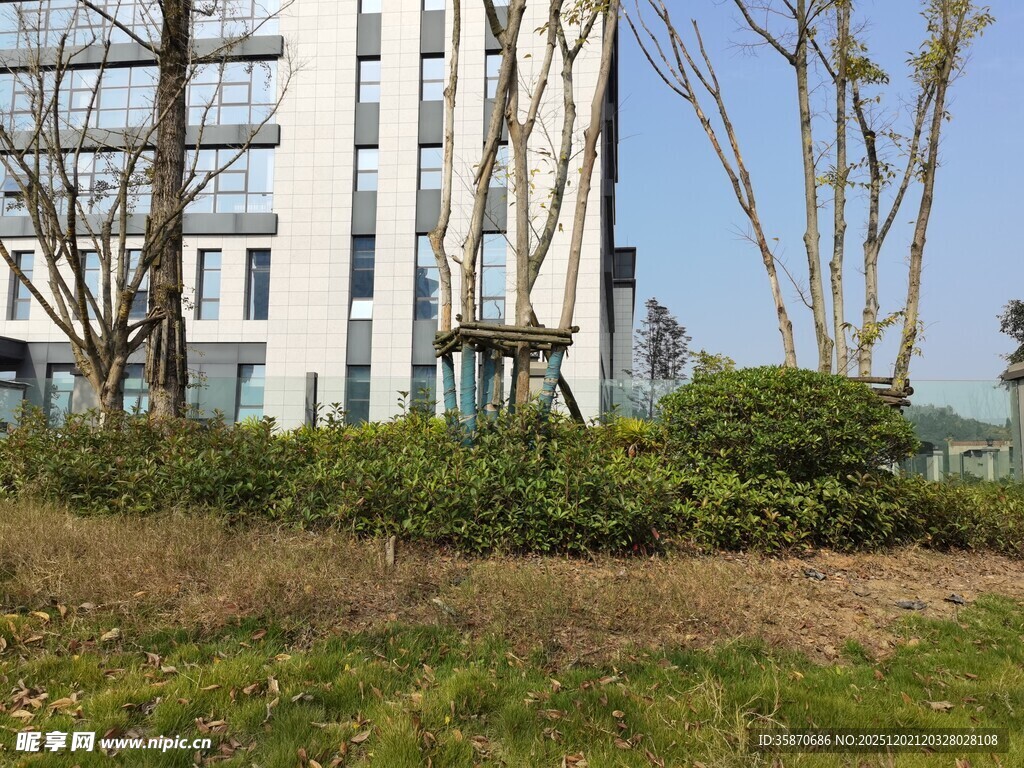 现代建筑旁的绿植景观