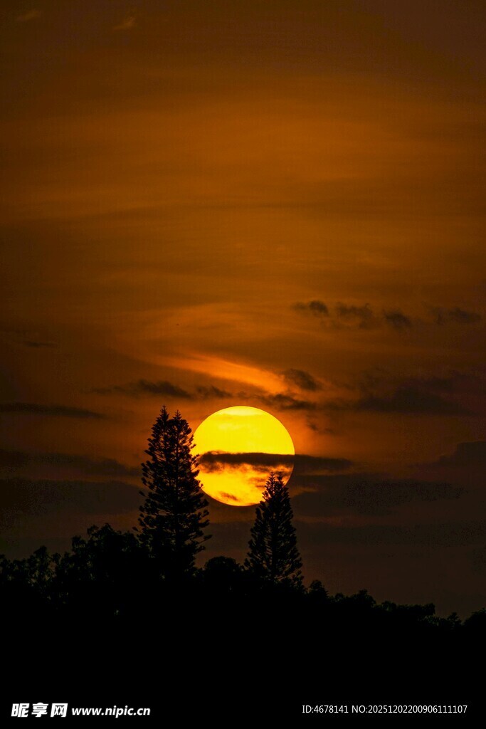 夕阳下的剪影美景