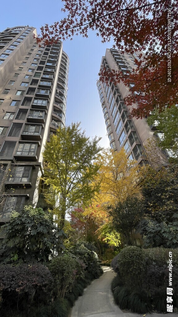 都市小区中的林荫小道