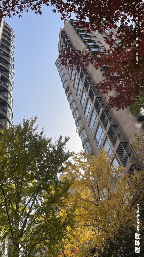 秋日城市中林立高楼与彩林