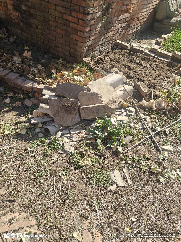 地面上的砖块与绿植