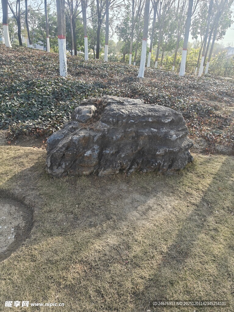 园林中造型独特的岩石