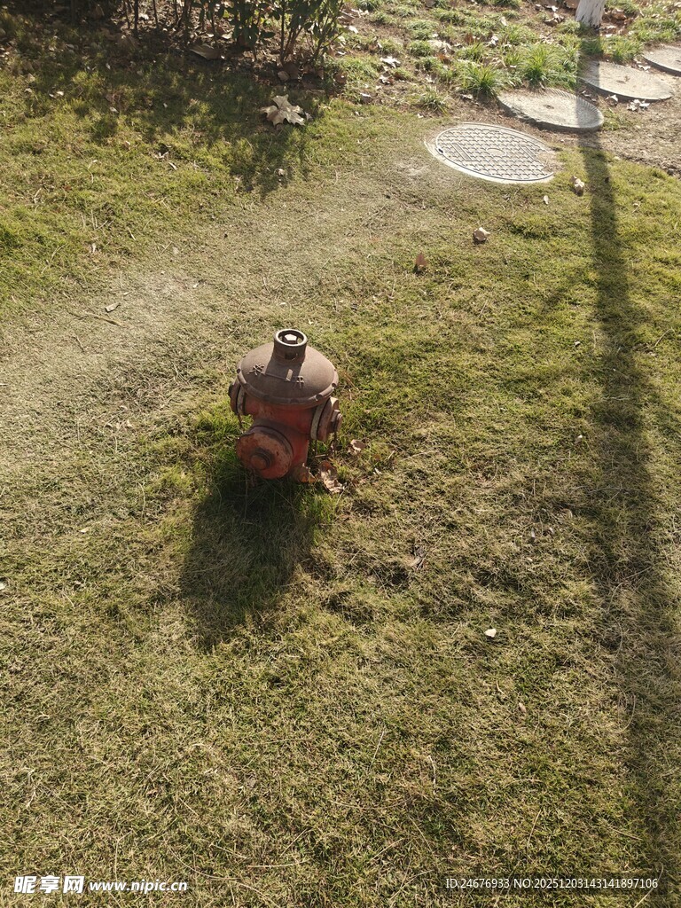 草地上玩耍的小孩