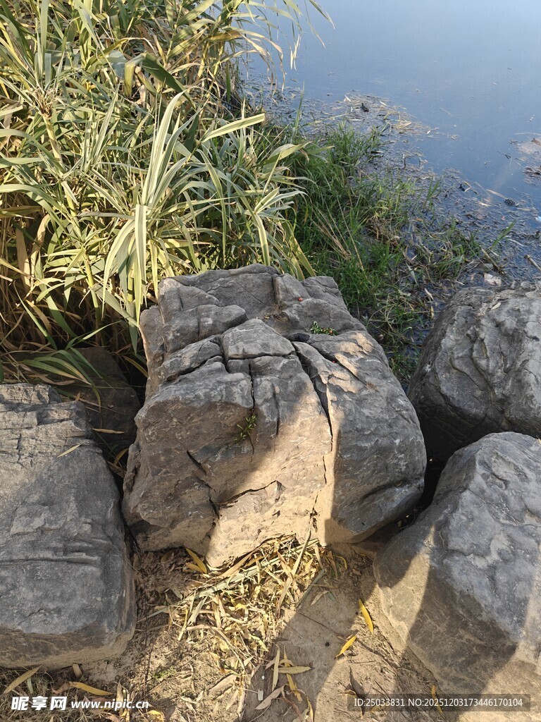 岸边石堆与繁茂草木