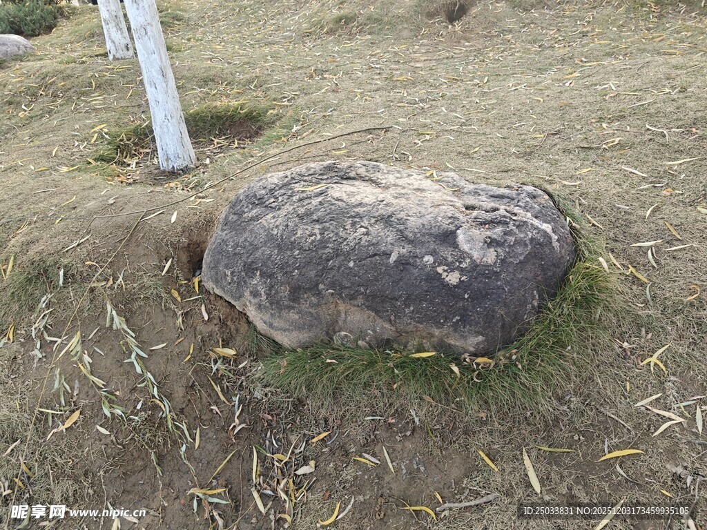 野外草地中的孤立石头
