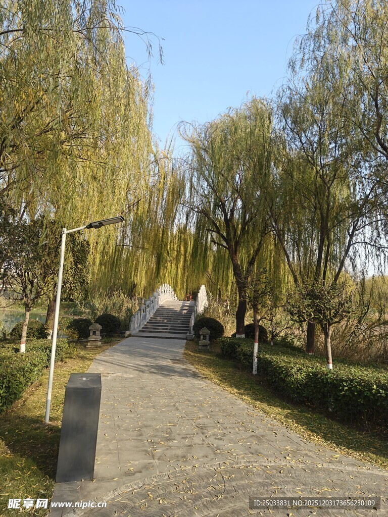 春日林间石板小径风景