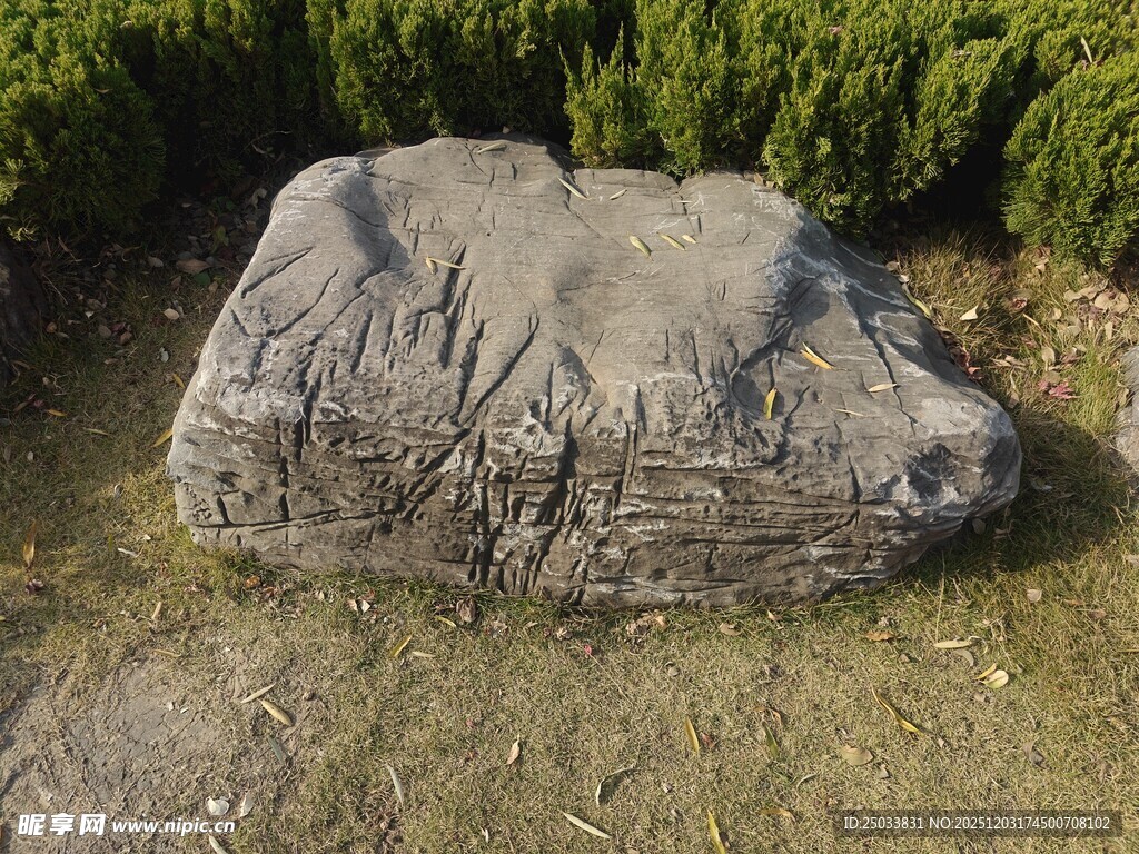 刻字巨石 静立绿植之畔