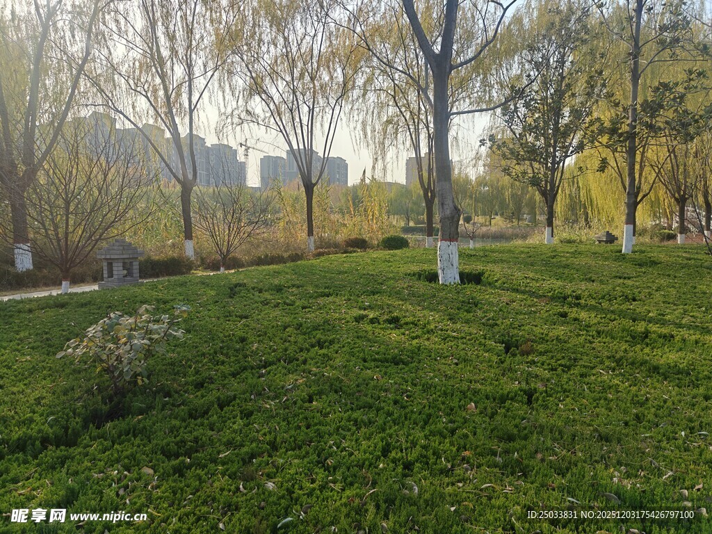 春日草地树林风景图