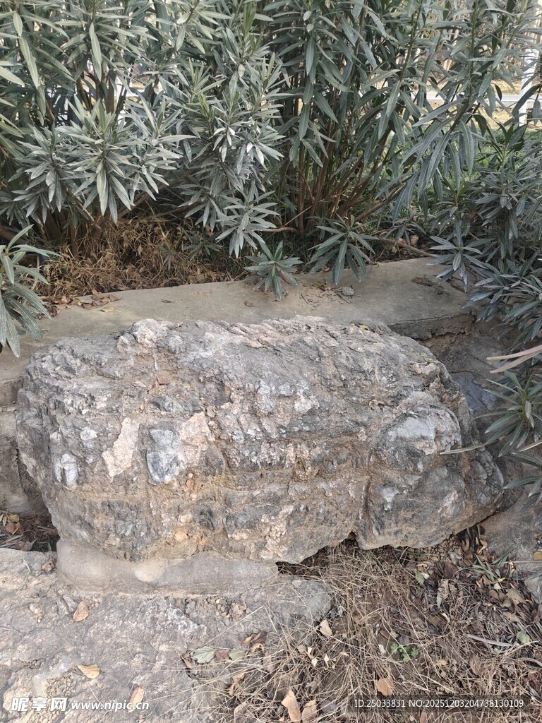 户外岩石与绿植景观