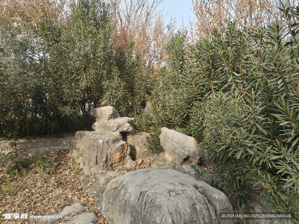 园林石景 自然古朴之美