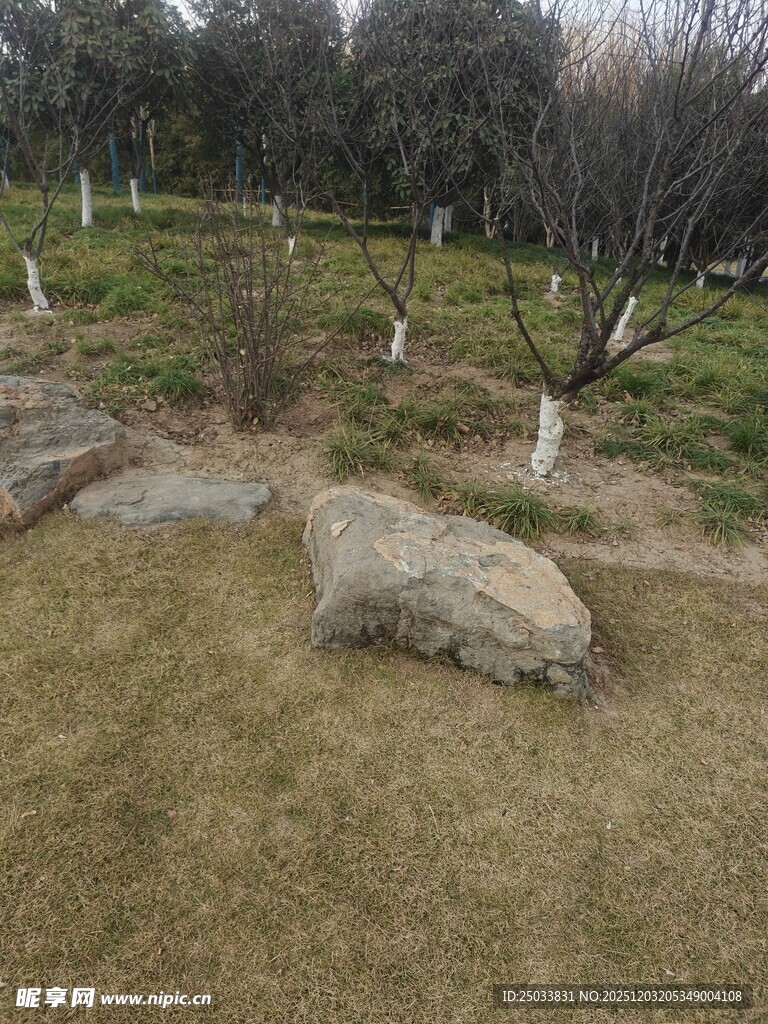 户外草地与石头景观