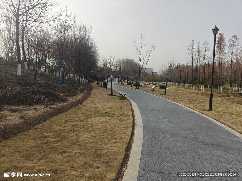 冬日公园幽静小路