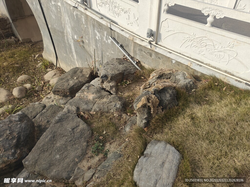 墙边石块与杂草景象