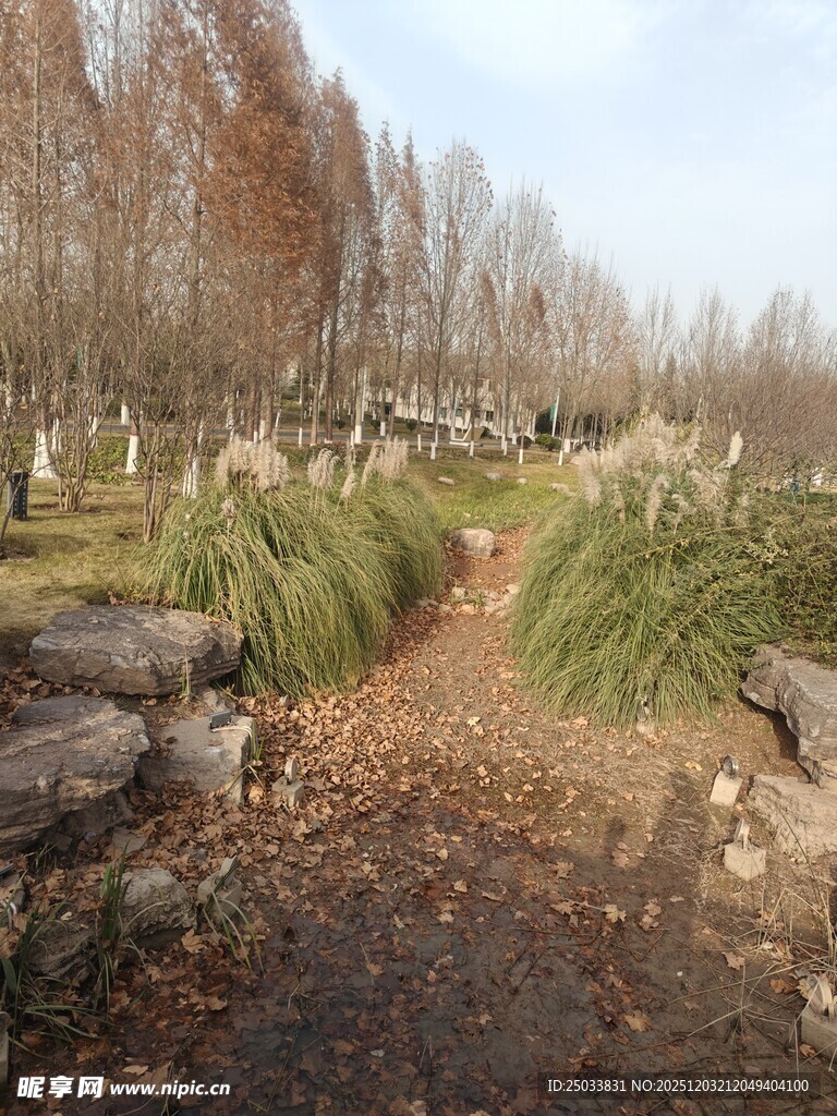 冬日园林小径景观