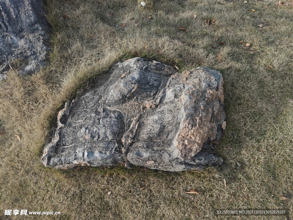 地面上的一块粗糙岩石