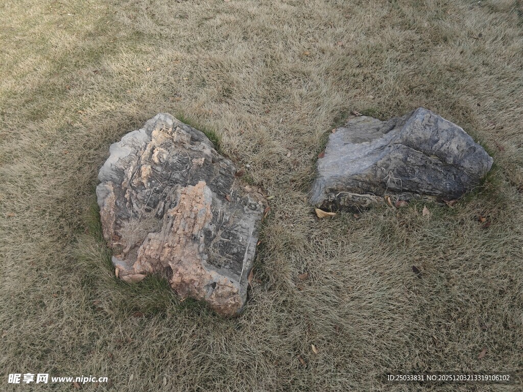 两块野外石头特写