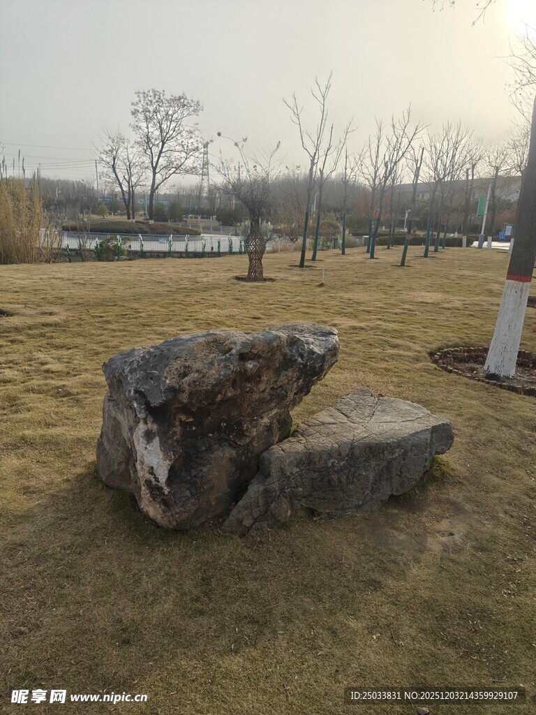 户外草地中的奇特石头