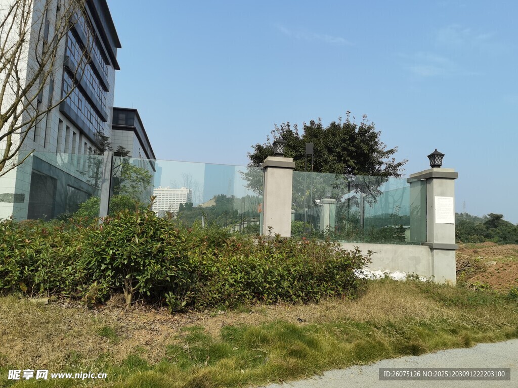 现代建筑旁的绿植景观