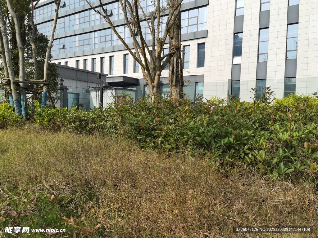 现代建筑旁的绿植景观