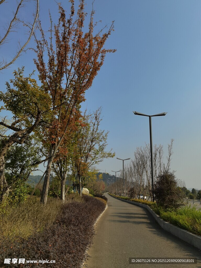 秋日林间小路风景