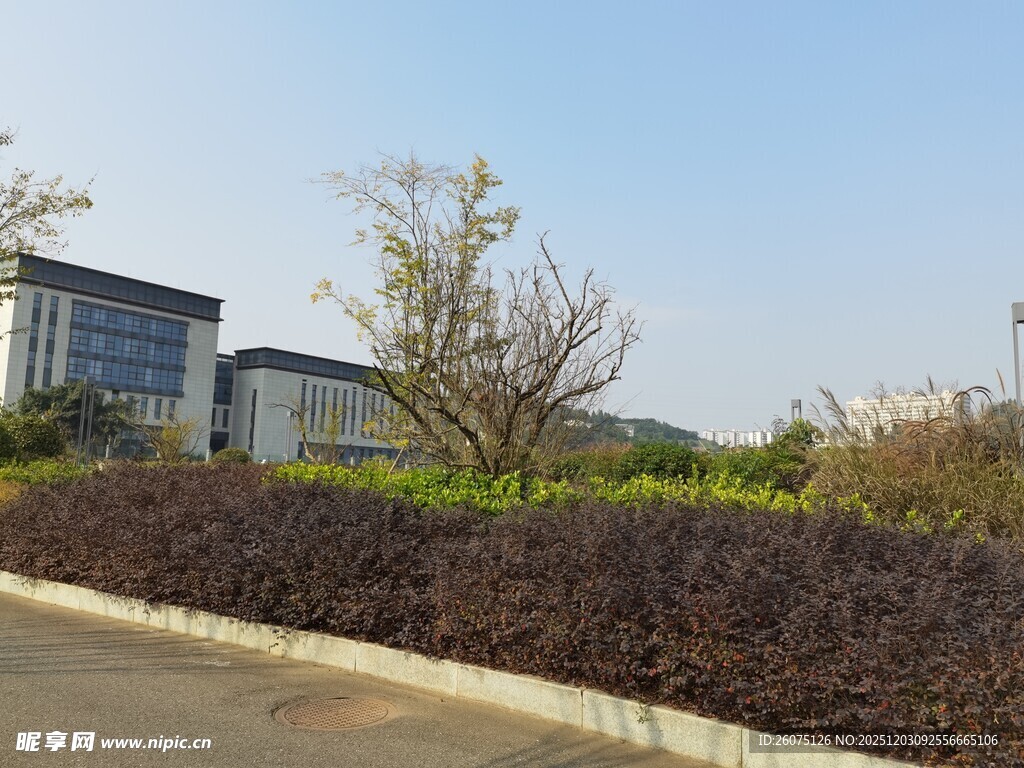 现代建筑旁的绿植景观