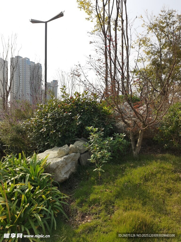 城市绿地中的自然景致