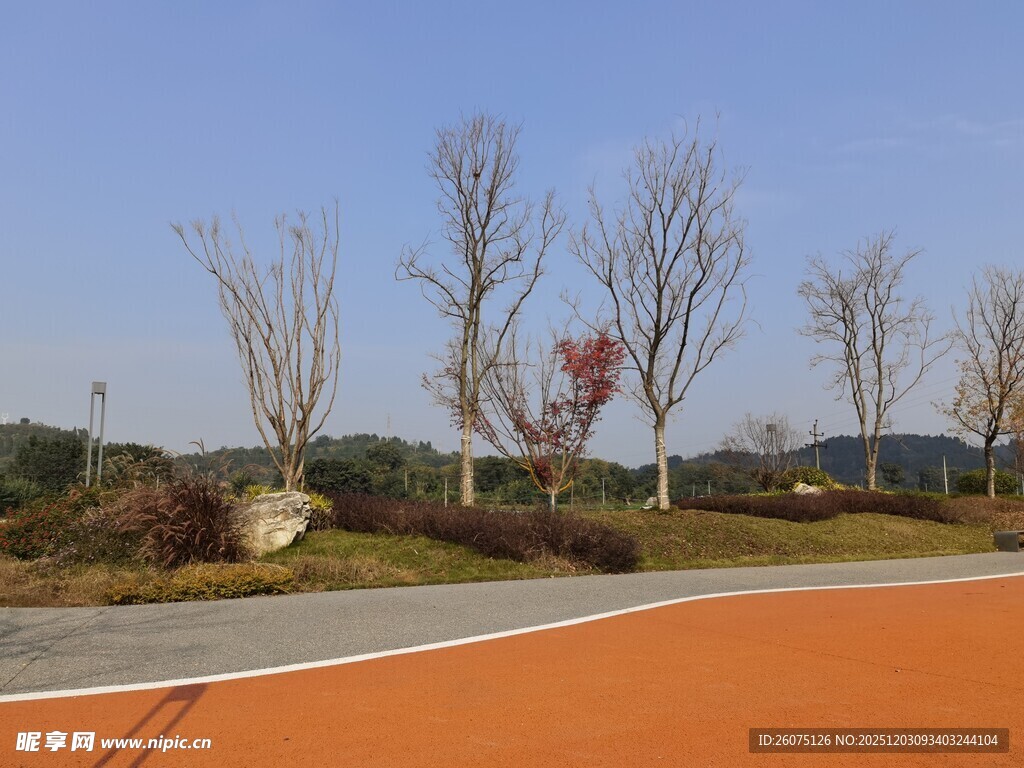 户外彩色跑道与树木景观