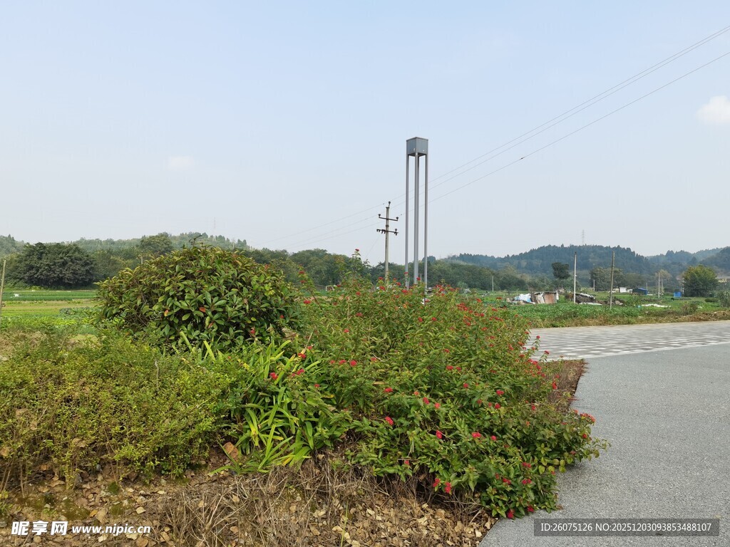乡村路旁绿植与远处铁塔