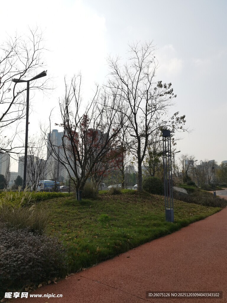 城市公园中的红色步道