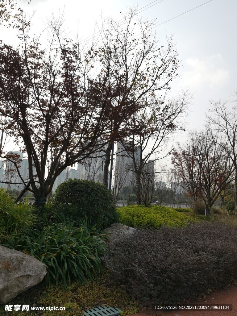 城市公园的自然景致