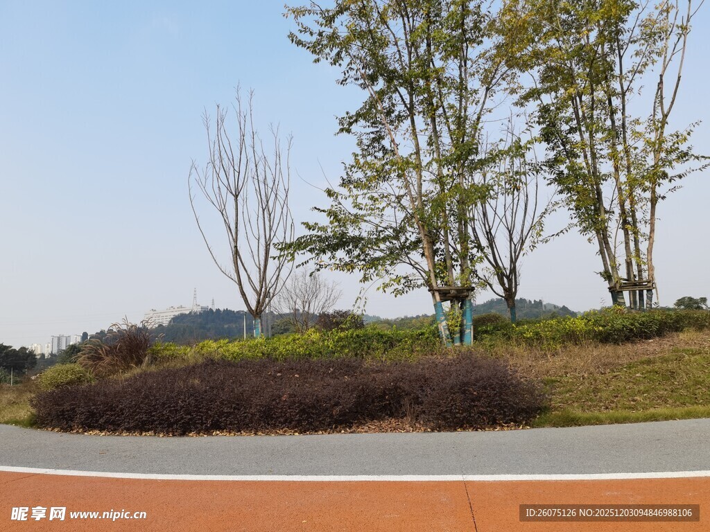 户外彩色步道与树木景观