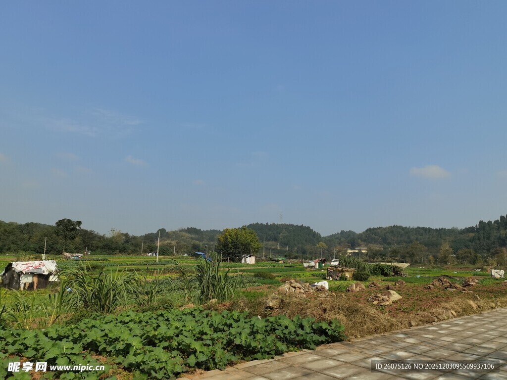 乡村田园风光美景