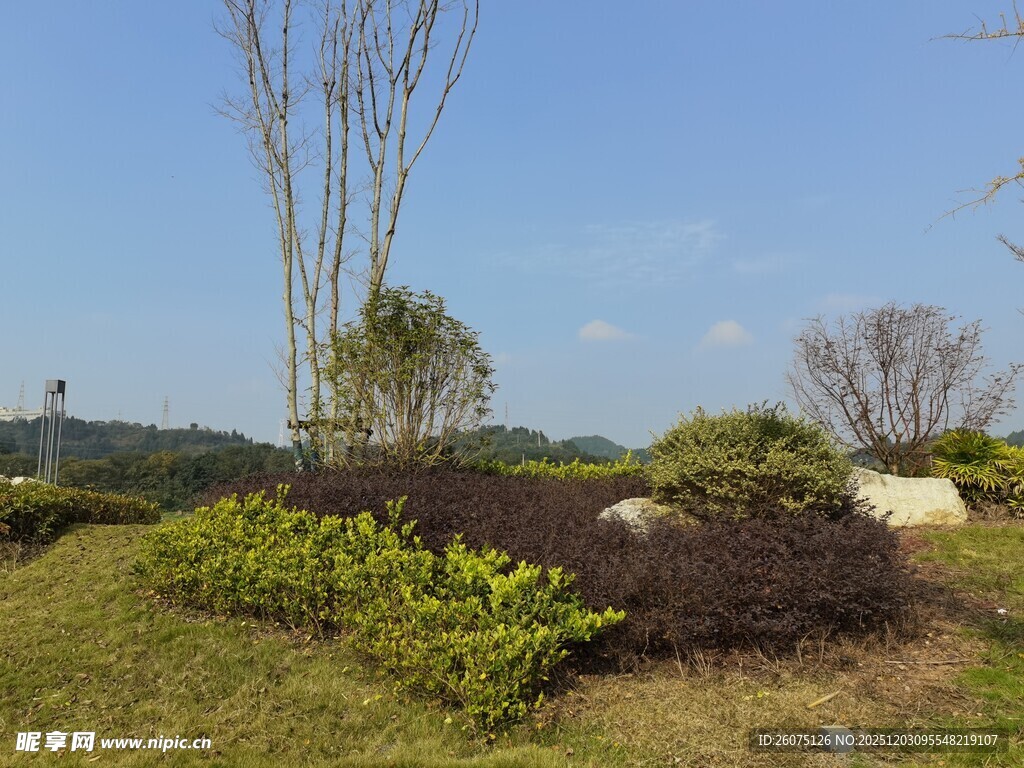 户外绿意盎然的自然景观