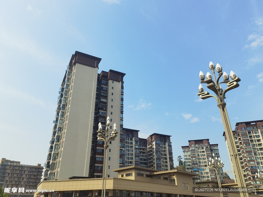 城市高楼与街灯景观