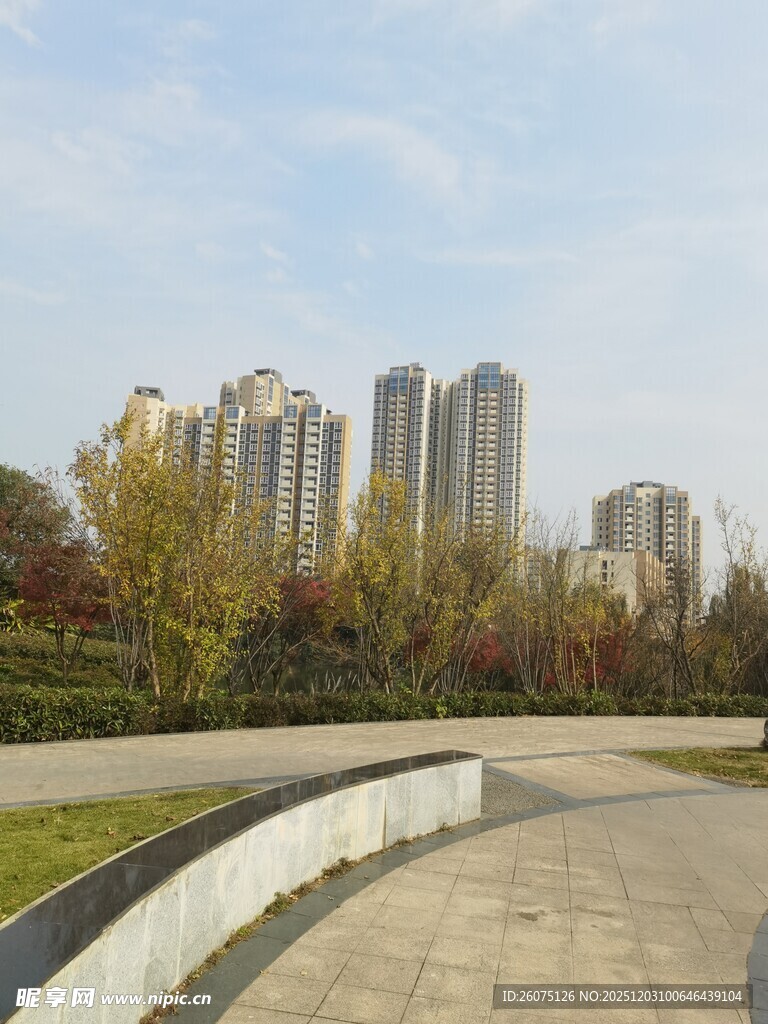 城市公园旁的高楼景观