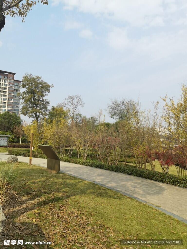 城市公园中的宁静小径