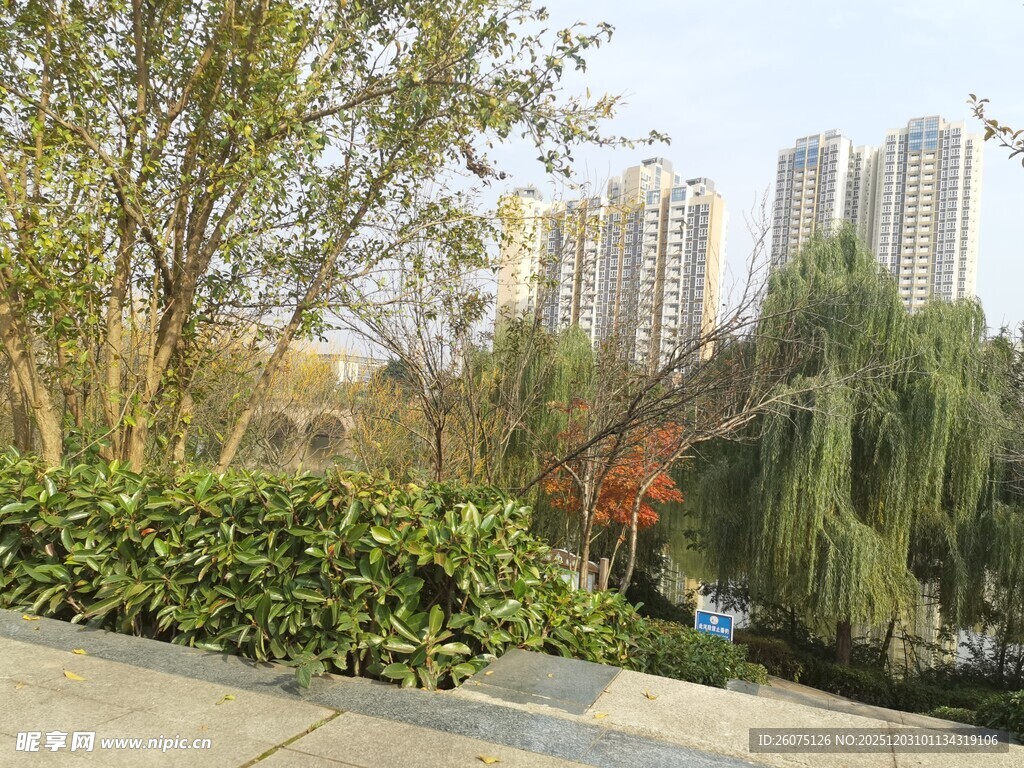 城市河畔绿植与高楼景观