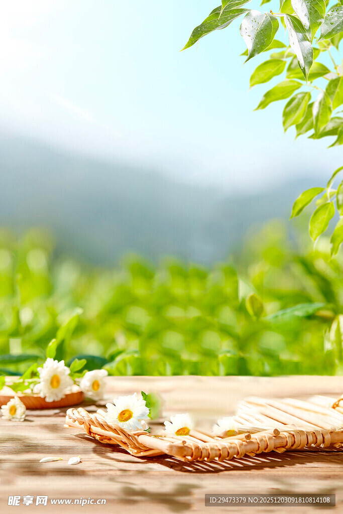 户外木桌的清新美食场景