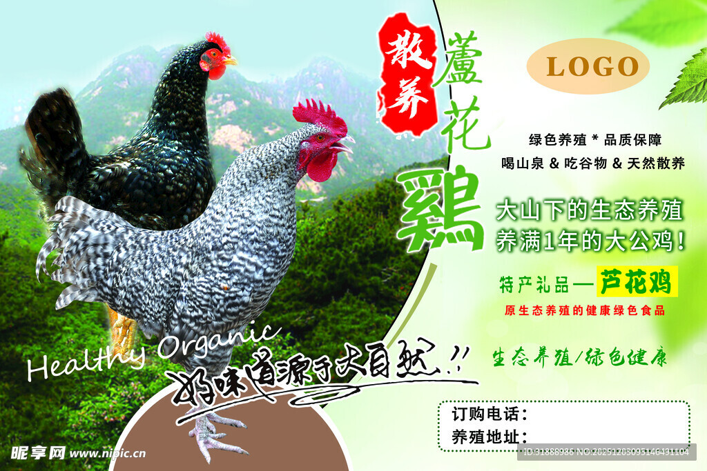 农家散养土鸡宣传页展示