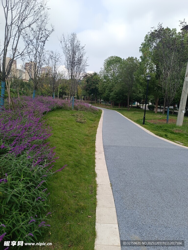 春日繁花伴行的幽静小路