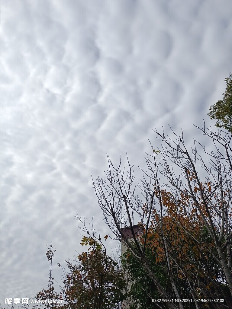 天空中密布的层叠云层