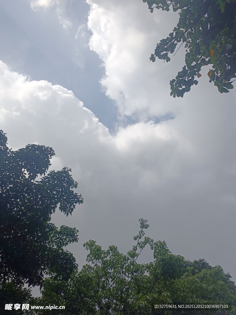绿树掩映下的天空云朵