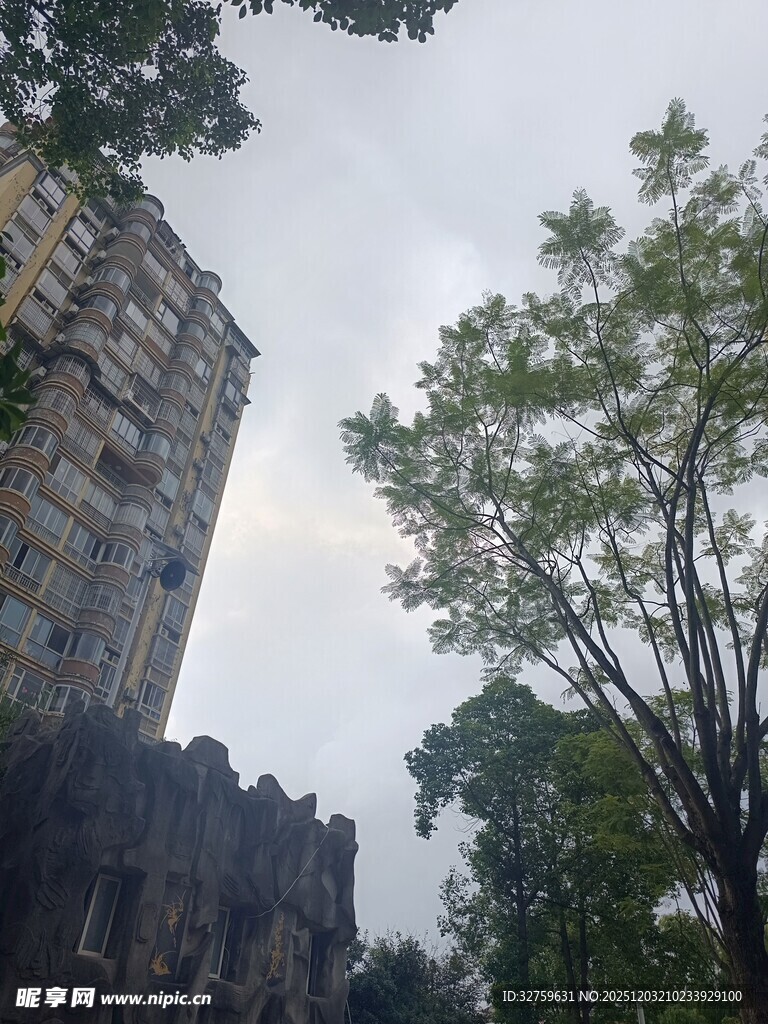 高楼旁的绿树景观