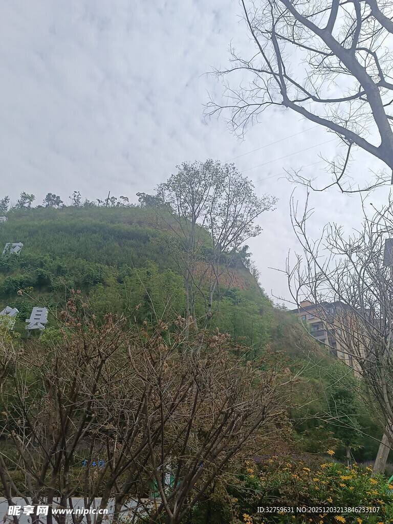 山坡绿植景观